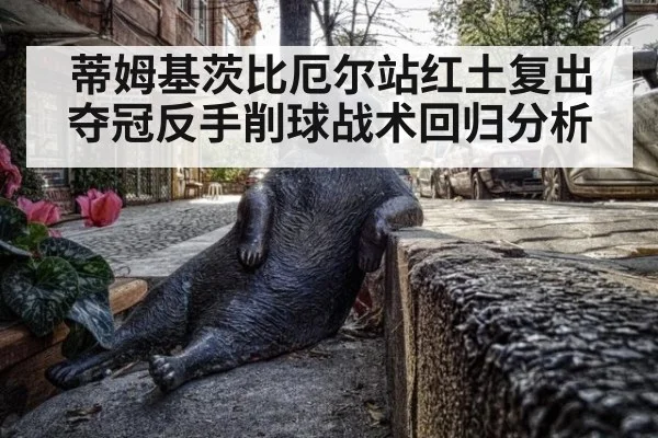 蒂姆基茨比厄尔站红土复出夺冠反手削球战术回归分析
