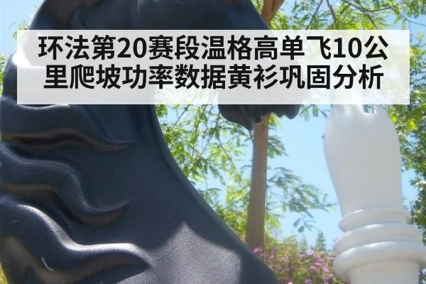 环法第20赛段温格高单飞10公里爬坡功率数据黄衫巩固分析